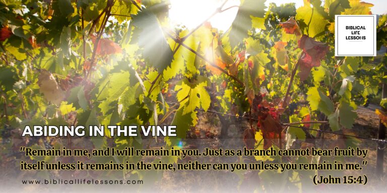 Abiding in the Vine: Lessons from John 15:1-11