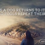 A serene countryside scene at sunrise with a narrow, winding path symbolizing the journey of life. Along the path, there’s a fork in the road with one side leading to a dark, dense forest (representing folly) and the other to an open, sunlit field (representing wisdom). The image could feature an overlay text: "As a dog returns to its vomit, so fools repeat their folly." – Proverbs 26:11 This visual communicates the idea of choosing wisely and breaking free from destructive cycles.