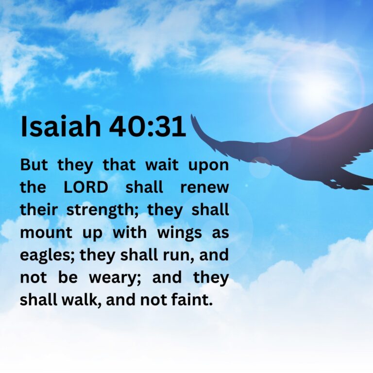 Soaring Above Life’s Struggles