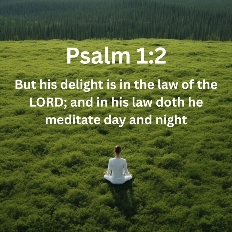 What Should We Think About When We Meditate?