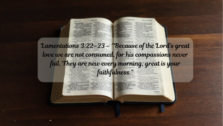 Held by Mercy: The Promise That Renews Each Morning