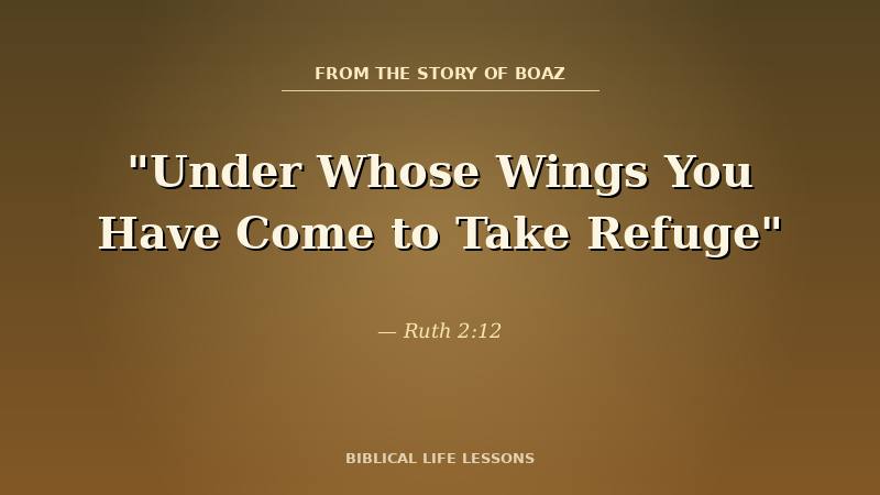 Warm harvest field glow — Boaz, under whose wings you have come to take refuge, Ruth 2:12